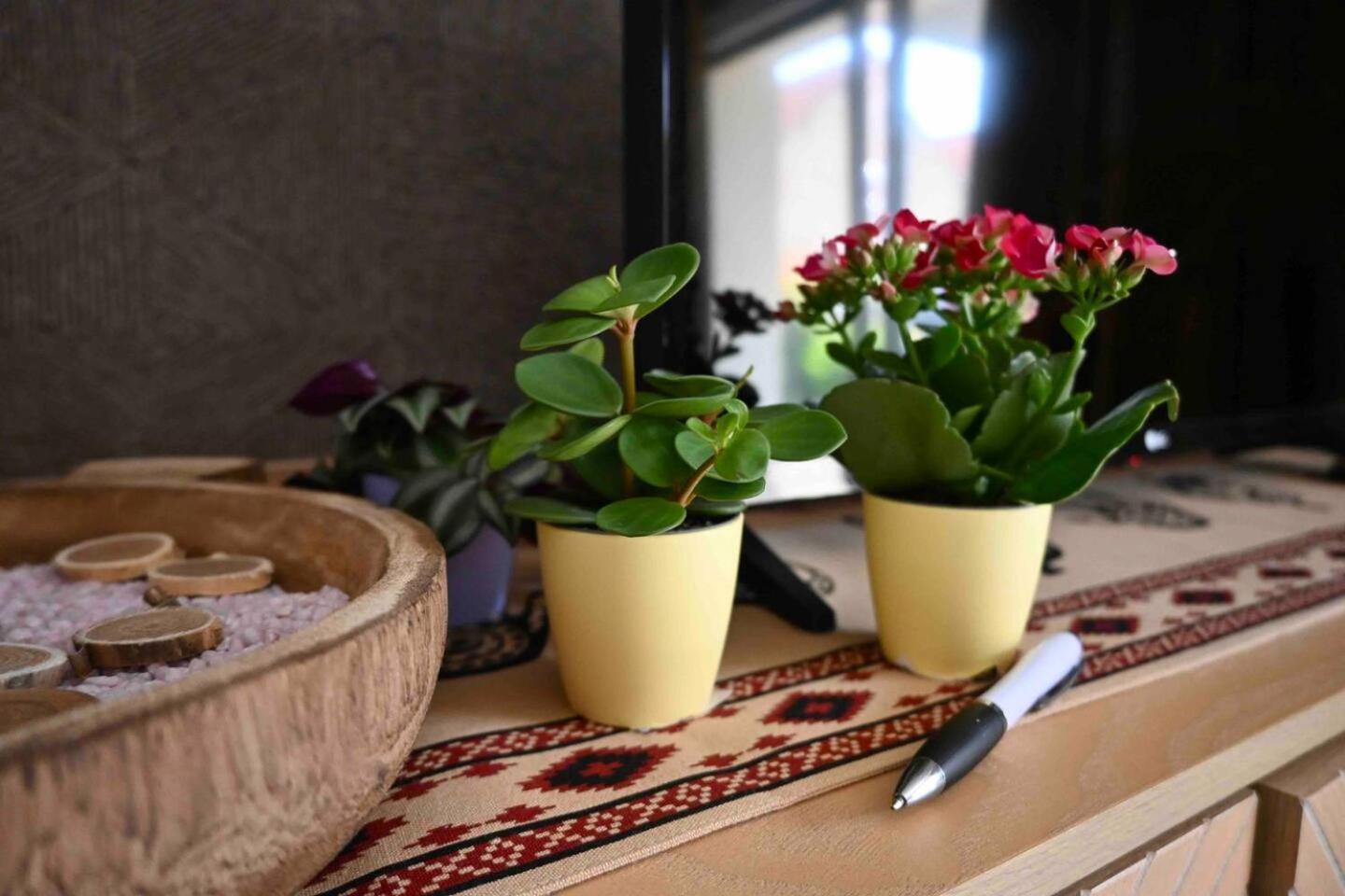 Cosy Apartment Near Strasbourg Mommenheim Екстериор снимка